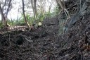 旧打越峠（旧房総往還） 荻生 富津市 千葉県