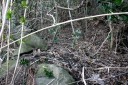 旧打越峠（旧房総往還） 荻生 富津市 千葉県