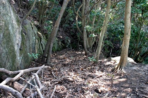 洞口峠旧道（旧房総往還） 金谷 富津市 千葉県