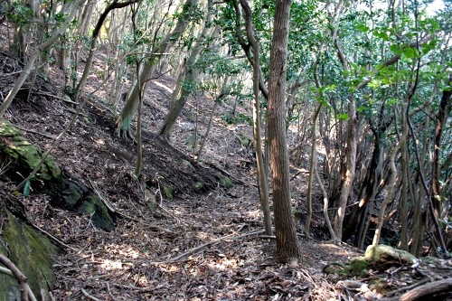 洞口峠旧道（旧房総往還） 金谷 富津市 千葉県