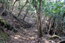 洞口峠旧道（旧房総往還） 金谷 富津市 千葉県