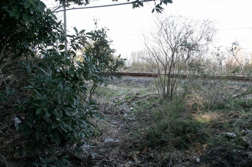 洞口峠旧道（旧房総往還）出口 金谷 富津市 千葉県