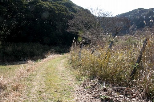 旧丑山隧道旧道 金谷 富津市 千葉県