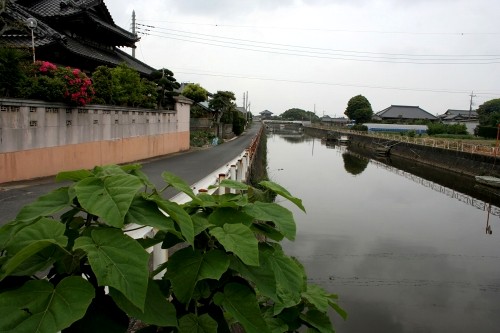 桁沼川 笹川い 東庄町 香取郡 千葉県