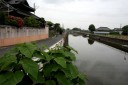 桁沼川 笹川い 東庄町 香取郡 千葉県