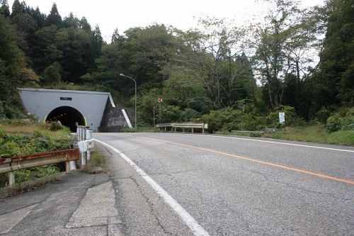 葡萄トンネル 葡萄 村上市 新潟県