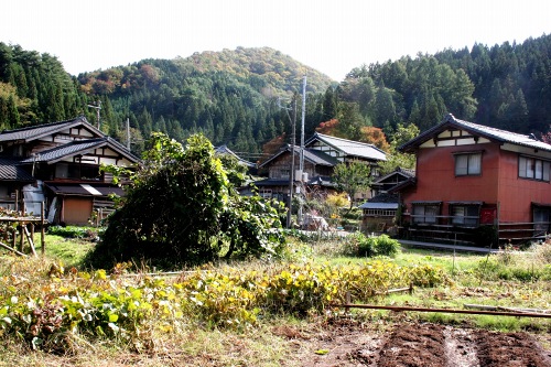 大沢集落 大沢 村上市 新潟県