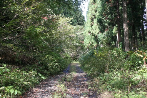 旧出羽街道 葡萄 村上市 新潟県