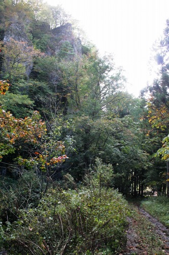 明神岩 葡萄 村上市 新潟県