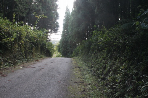 葡萄峠（旧国道７号） 葡萄 村上市 新潟県