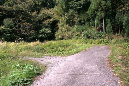 旧出羽街道 葡萄 村上市 新潟県