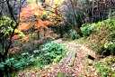 旧出羽街道中山越 軽井沢坂 西原 鳴子温泉 大崎市 宮城県