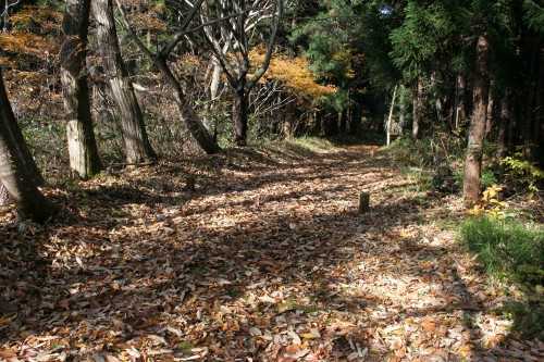 出羽街道中山越旧道 堺田 最上町 最上郡 山形県