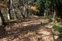 出羽街道中山越旧道 堺田 最上町 最上郡 山形県