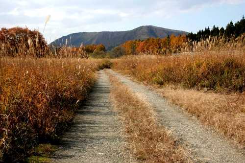旧道（堺田-琵琶ノ沢間） 堺田 最上町 最上郡 山形県