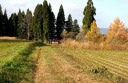 新屋聖観音 富澤 最上町 最上郡 山形県