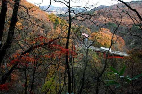 小深沢から大深沢へ 尿前 鳴子温泉 大崎市 宮城県