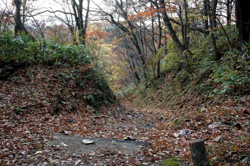 大深沢への下り坂・土塁跡 尿前 鳴子温泉 大崎市 宮城県