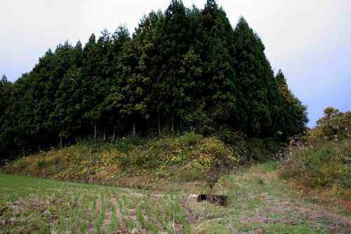 旧出羽街道中山越 大瓜土橋/大衡小沓 大衡村 黒川郡 宮城県