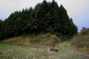 旧出羽街道中山越 大瓜土橋/大衡小沓 大衡村 黒川郡 宮城県