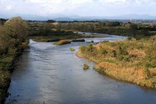 鳴瀬川 木伏 加美町 加美郡 宮城県