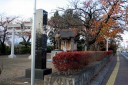中新田城跡 北町 加美町 加美郡 宮城県