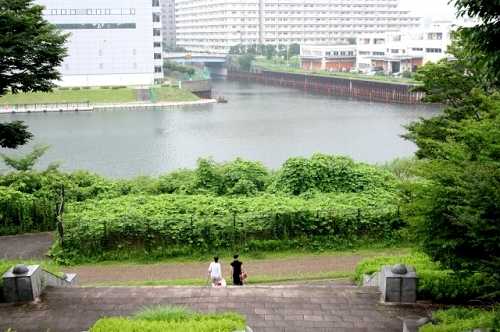 旧小松川閘門から小名木川口方面 大島小松川公園