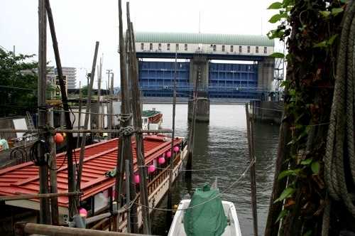 新川東水門 江戸川5丁目-東葛西1丁目
