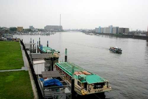 瑞穂大橋より、新中川(右)・旧江戸川(左)合流点