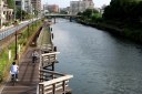 横十間川 本村橋より南方面 江東区住吉２丁目