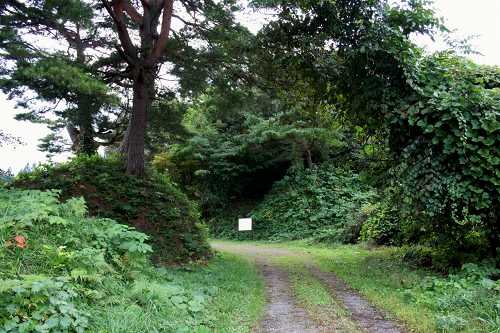 観音林一里塚 軽米町晴山 九戸郡 岩手県