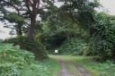 観音林一里塚 軽米町晴山 九戸郡 岩手県