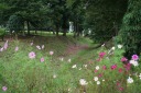 堀跡 根城 八戸市 青森県
