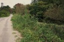 旧八戸街道 晴山 軽米町 九戸郡 岩手県