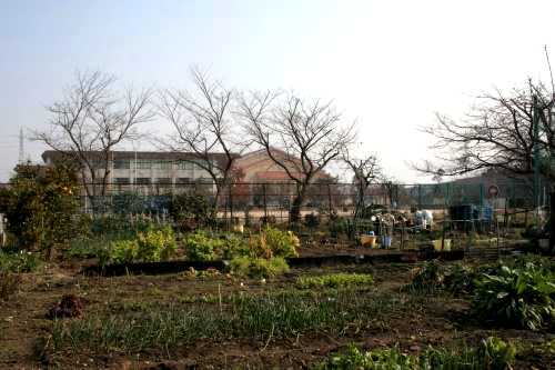 御園小学校・地蔵 五智町 東近江市