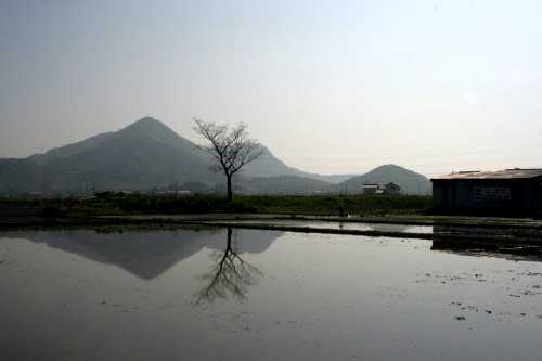 箕作山遠景 野口町 東近江市
