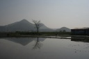 箕作山遠景 野口町 東近江市