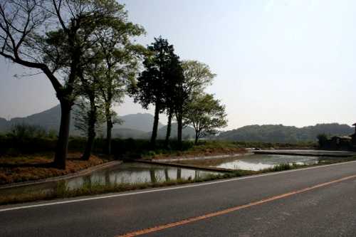 蒲生野 野口町 東近江市