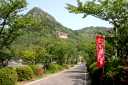 阿賀神社（太郎坊宮）参道 小脇町 東近江市