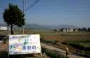 青野町 東近江市