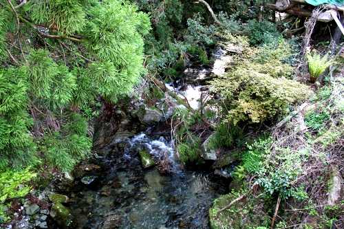 藤川谷 政所町 東近江市 滋賀県