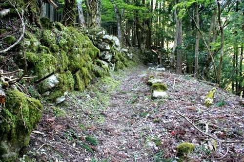 藤川谷・日本コバ登山口 政所町 東近江市 滋賀県