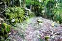 藤川谷・日本コバ登山口 政所町 東近江市 滋賀県