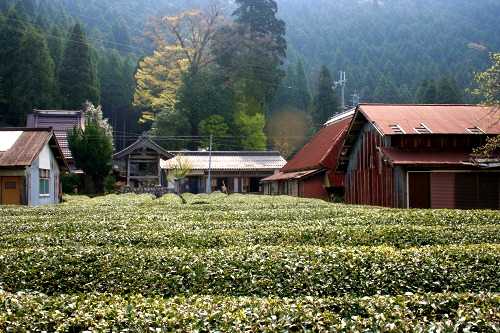 蓼畑町 東近江市 滋賀県