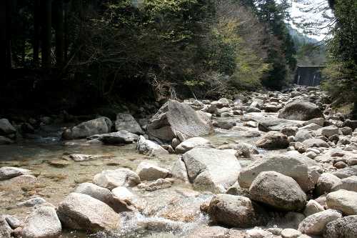 沢渉り 黄和田町 東近江市 滋賀県