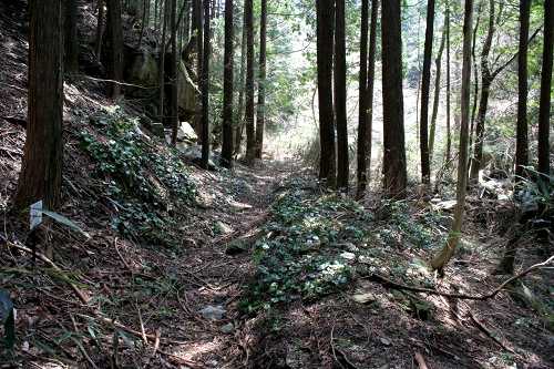 八風峠道 黄和田町 東近江市 滋賀県