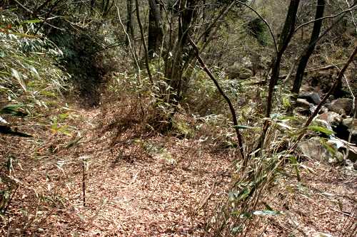 八風峠道 黄和田町 東近江市 滋賀県