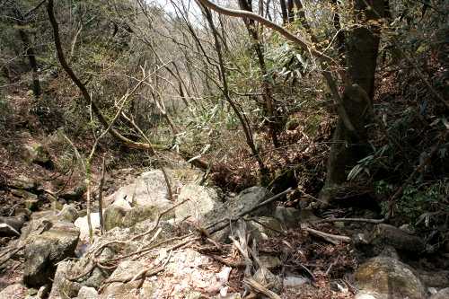 八風峠道 黄和田町 東近江市 滋賀県
