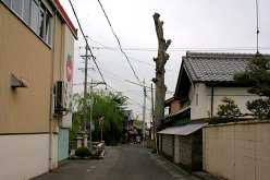 八風街道：辻手前より東方面 右は榎