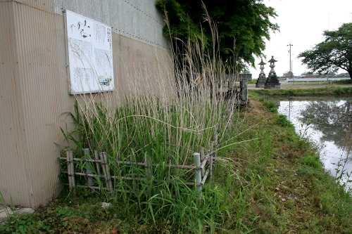 井戸(井手)跡・片葉の葦(井手神社) 永井 菰野町 三重郡 三重県